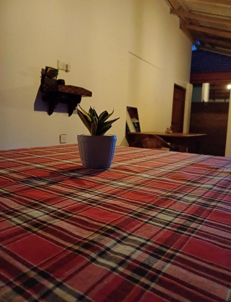 Turtle Island Cabana photo 4