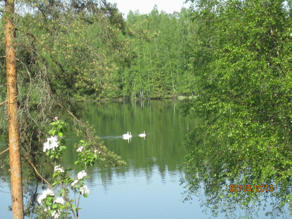 Villa Valkeinen photo 1