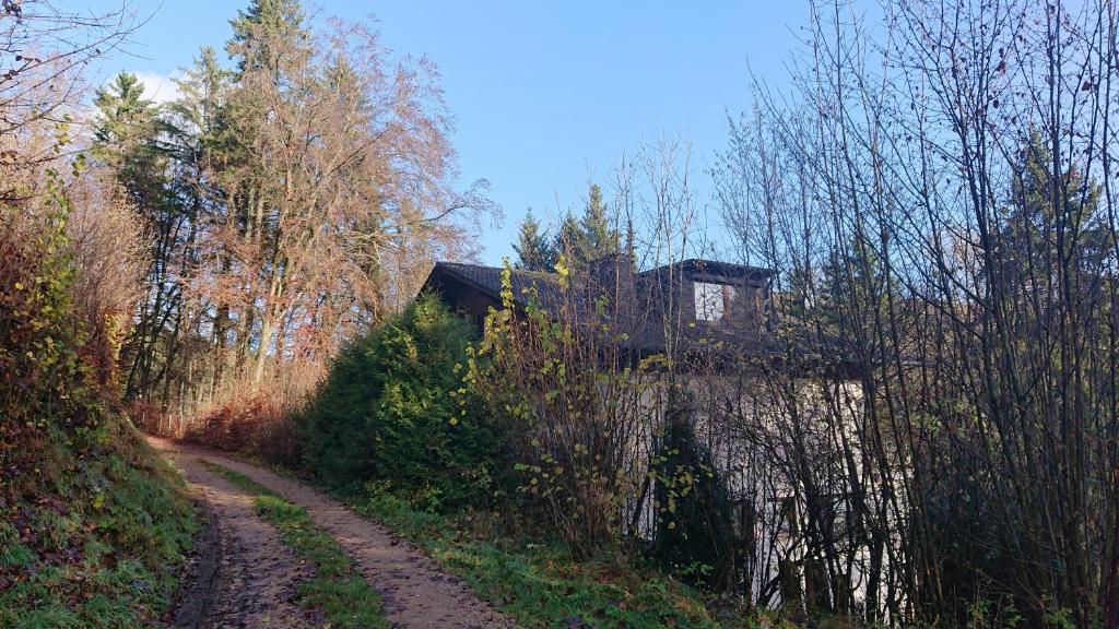 Eifelvilla Urbigkeit photo 3