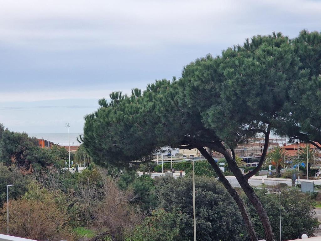 La casa del sole a 50 m dal mare photo 2