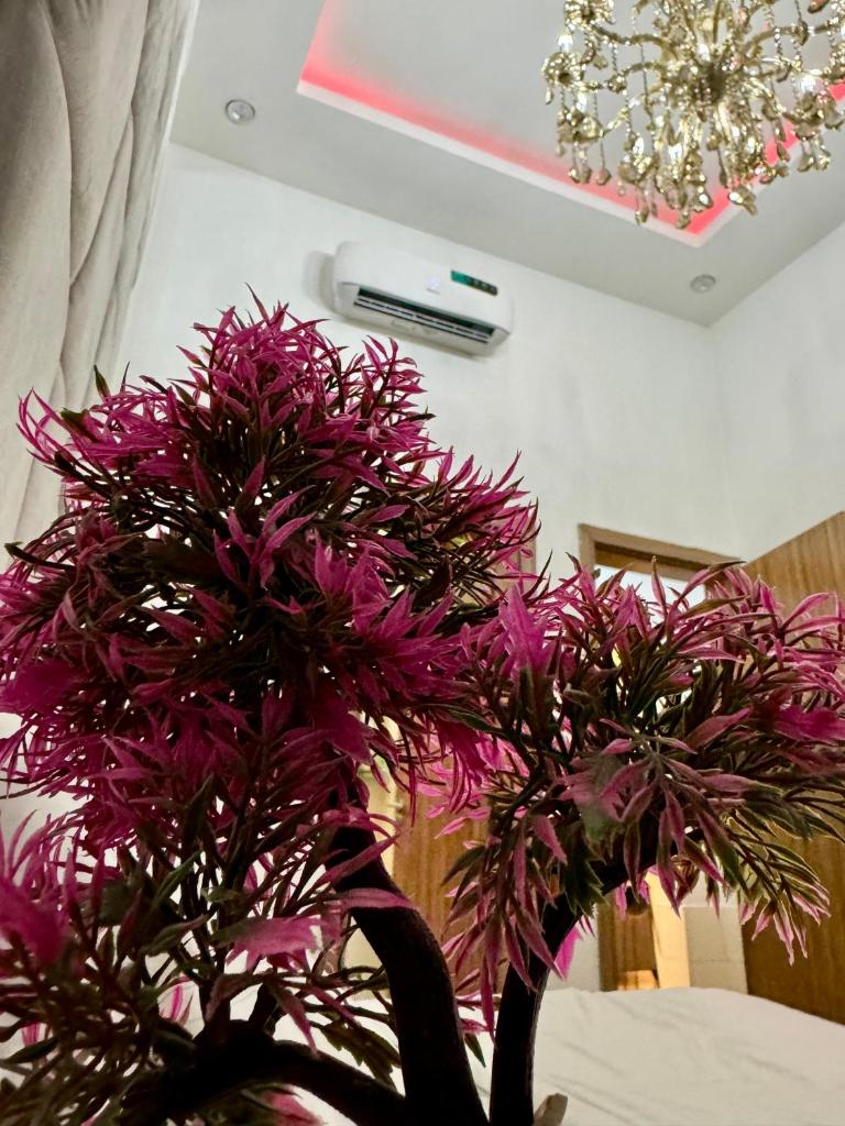 Ugos Luxury Apartments photo 1