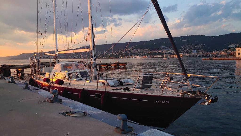 Bed & Breakfast & Sea with Captain