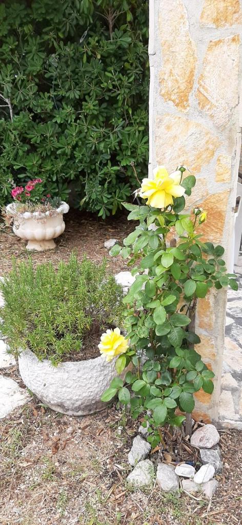 Apartmani Presečki photo 2