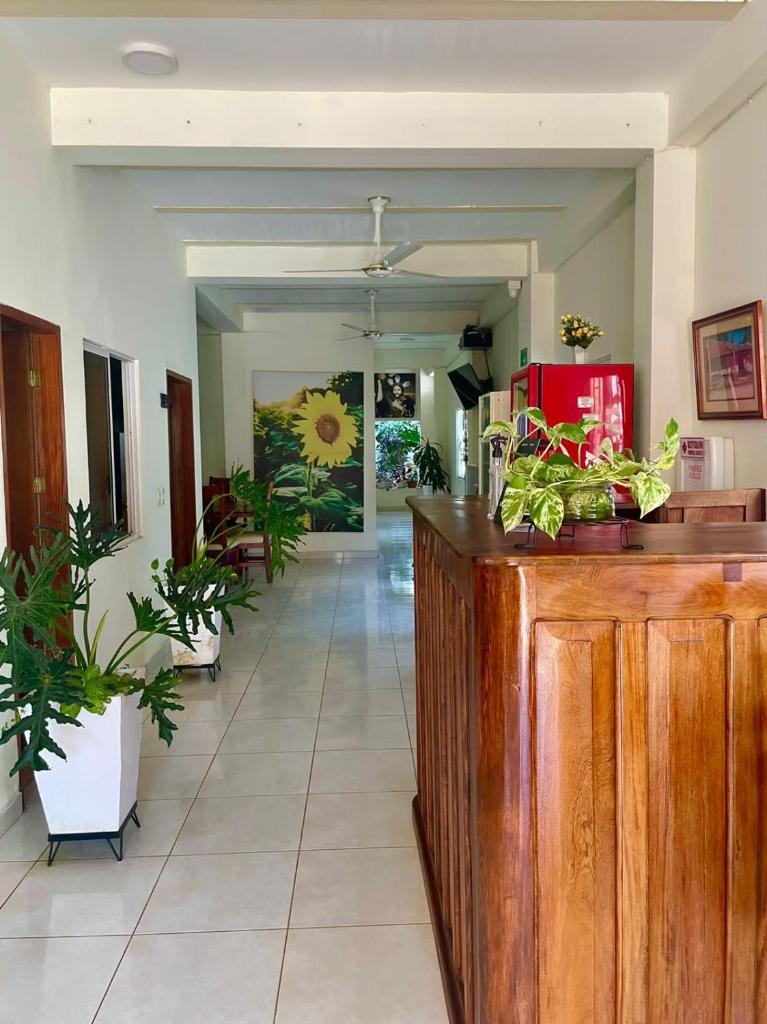 Hostal Doña Nancy photo 3