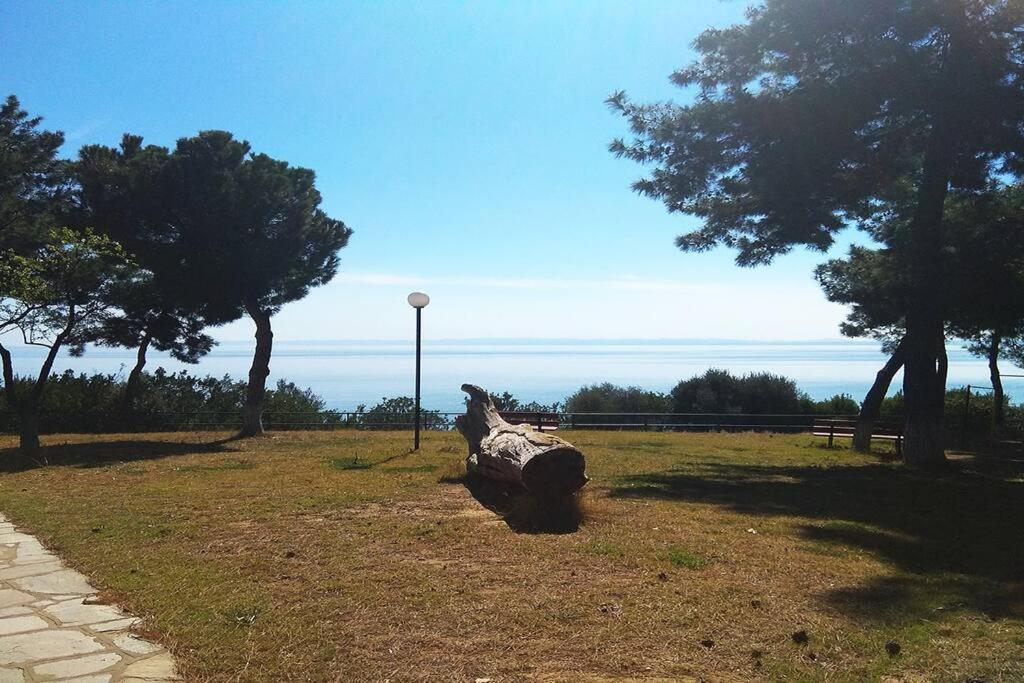 Sea View Maisonette,100m from Trikorfo Beach photo 4