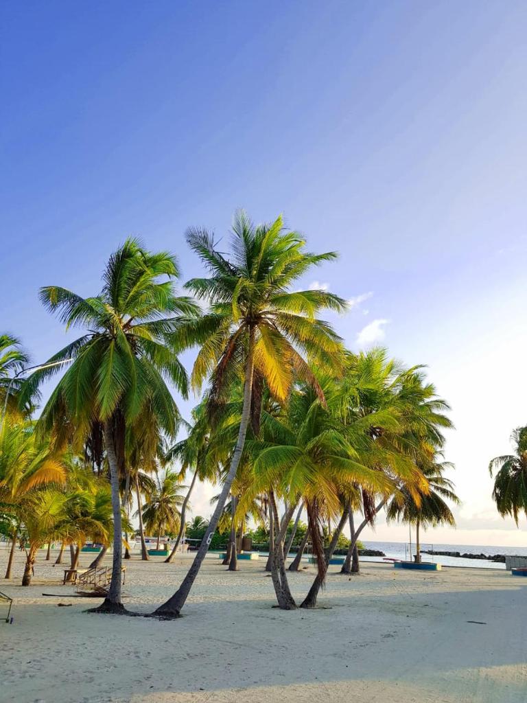 Holiday home in Kamadhoo Island / Maldives
