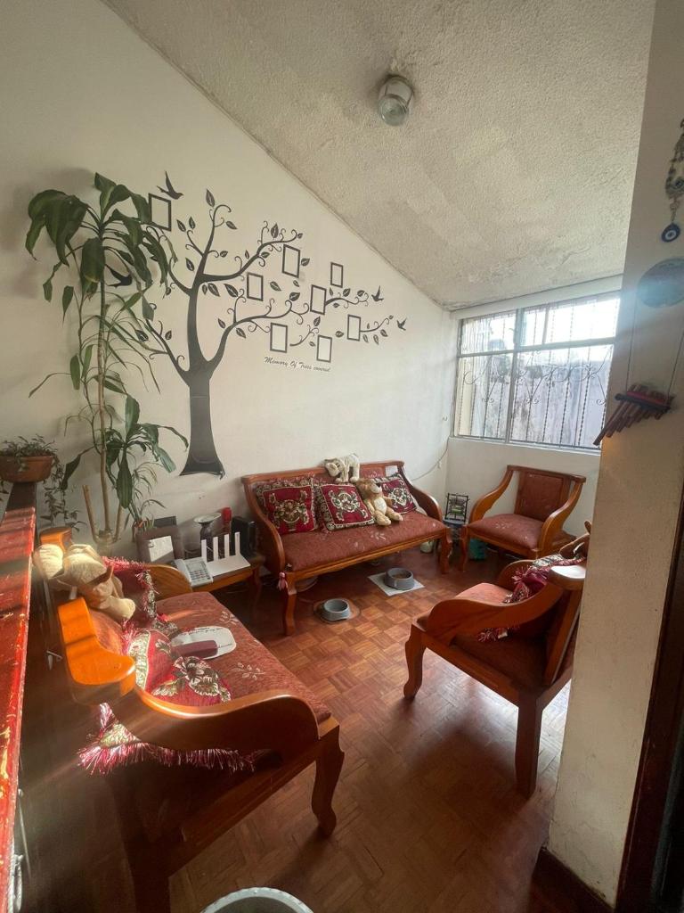 BELLAVISTA B&B photo 2