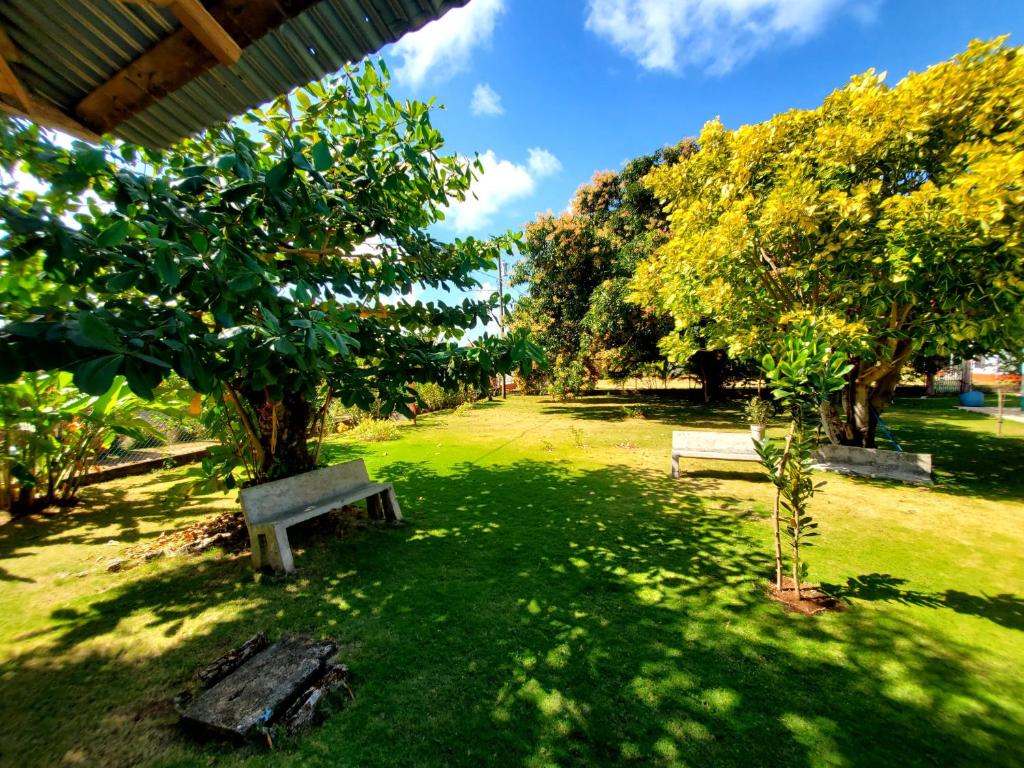 The Little Dream House photo 1