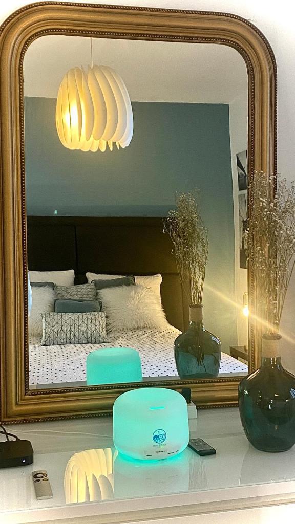 Superbe Chambre avec vue et salle d eau privative dans duplex de 140m2 - proche CHU Clermont photo 3