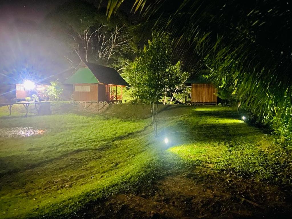 Sunrise of Tambopata photo 2
