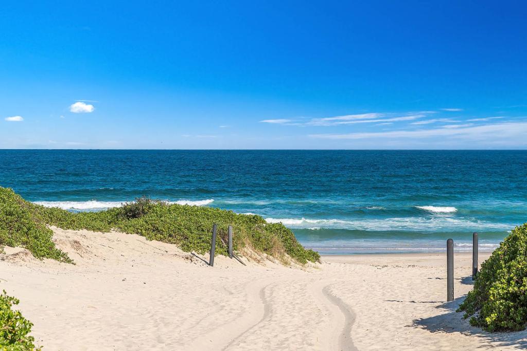 Ballina Beach Nature Resort photo 1