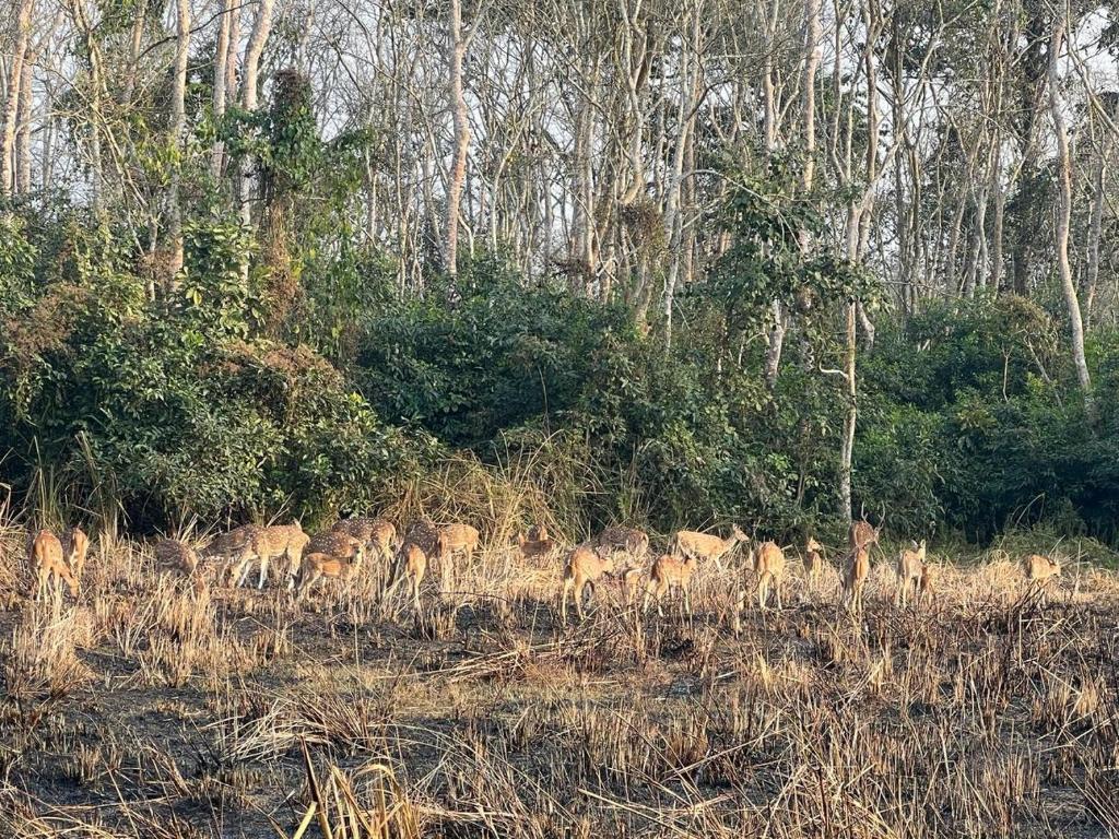Crocodile Safari Camp photo 2