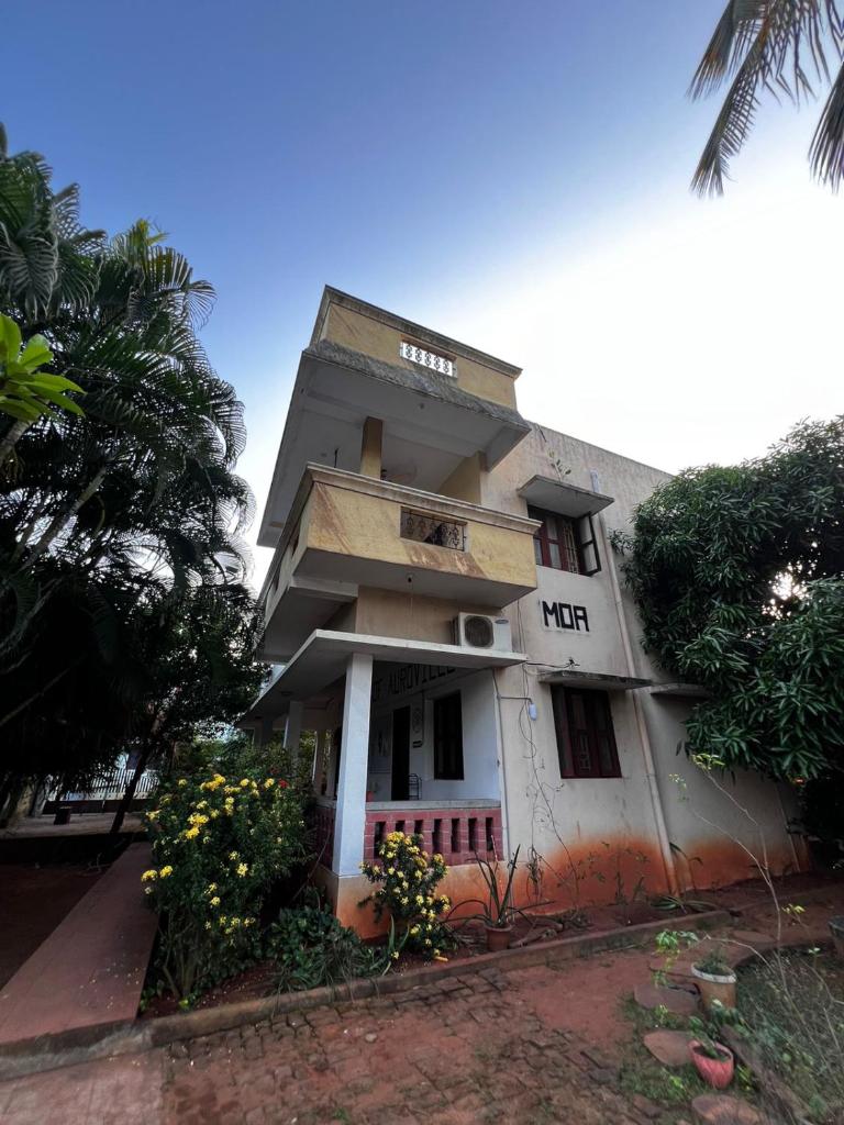 MOA Auroville pondicherry photo 2