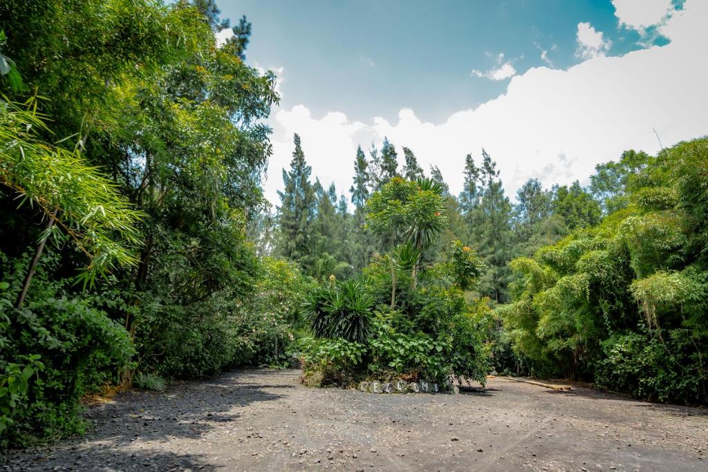 Fravan Eco Resort By Apogee photo 2