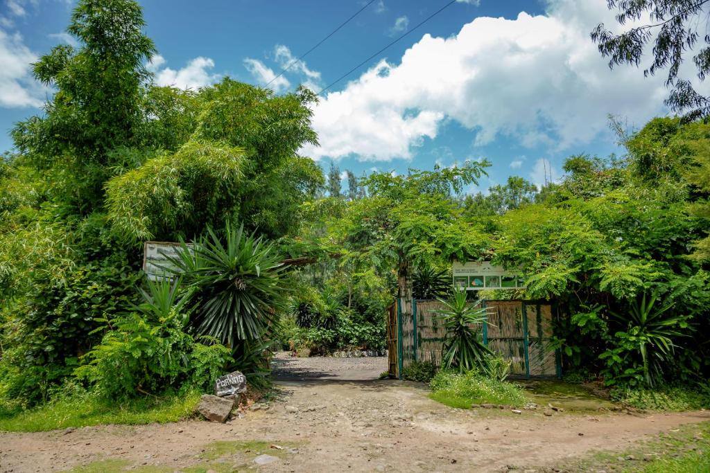 Fravan Eco Resort By Apogee photo 1