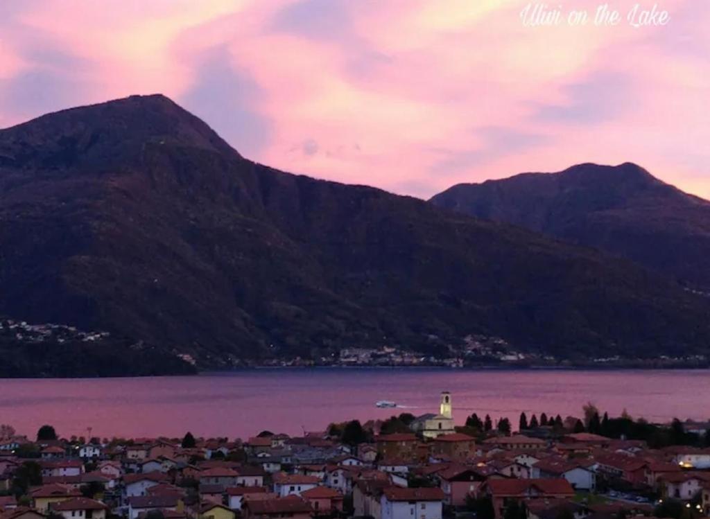 Ulivi on the lake photo 3