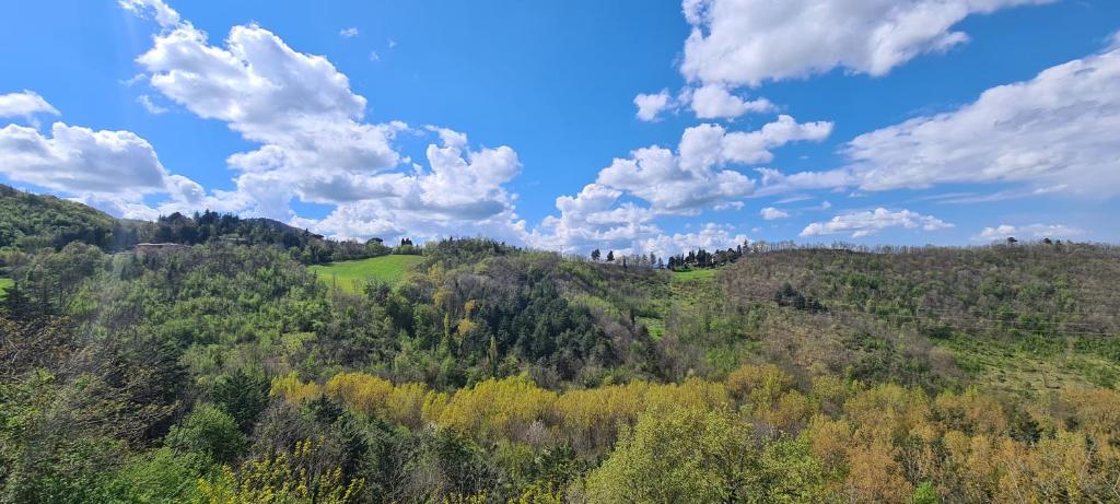 Colleverde Country House & SPA Urbino photo 1