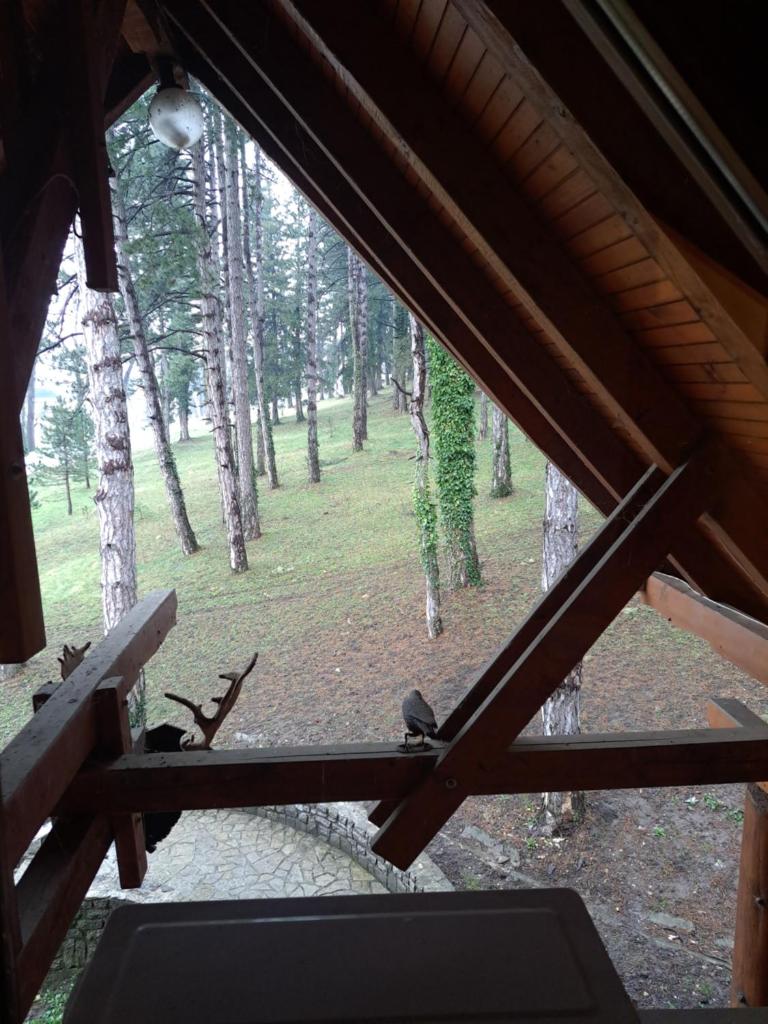 Prenoćište/Restoran Lovac photo 1