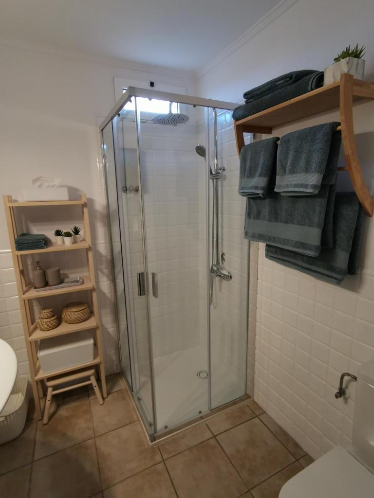 Apartamento La Condesa photo 4