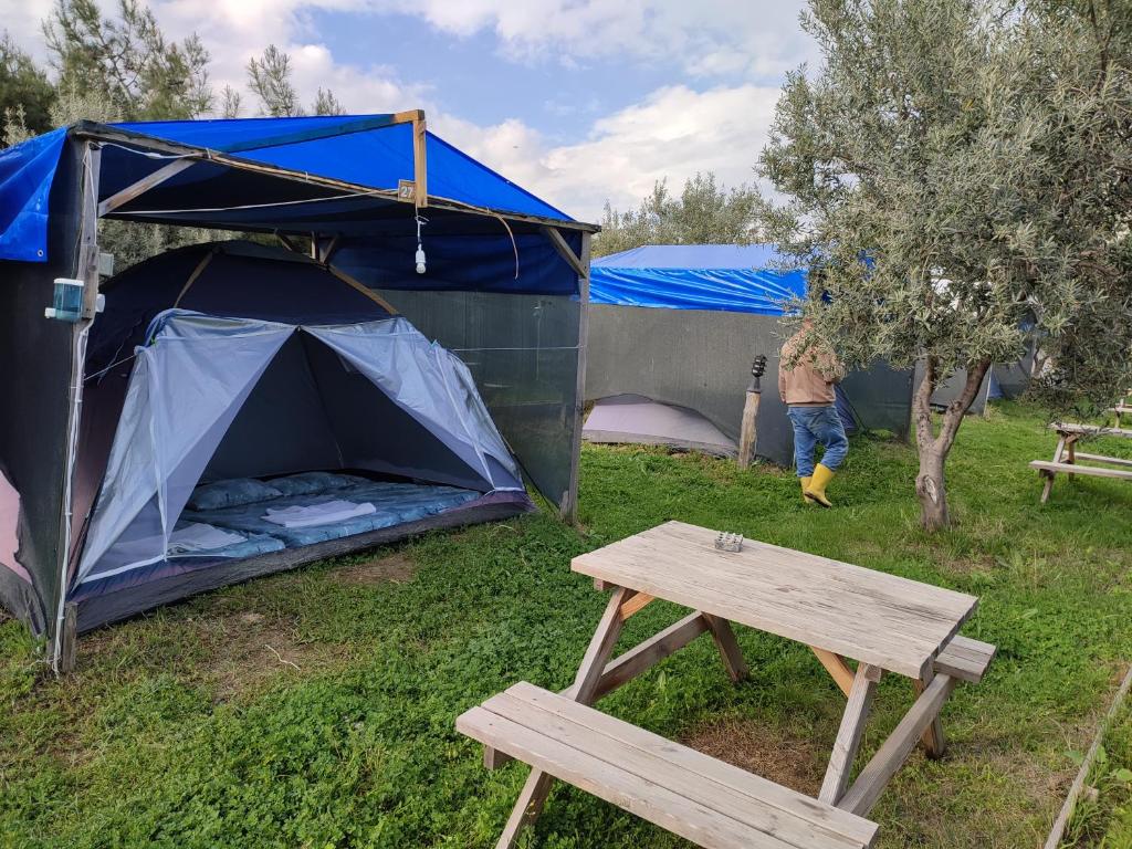 Makara camp photo 1
