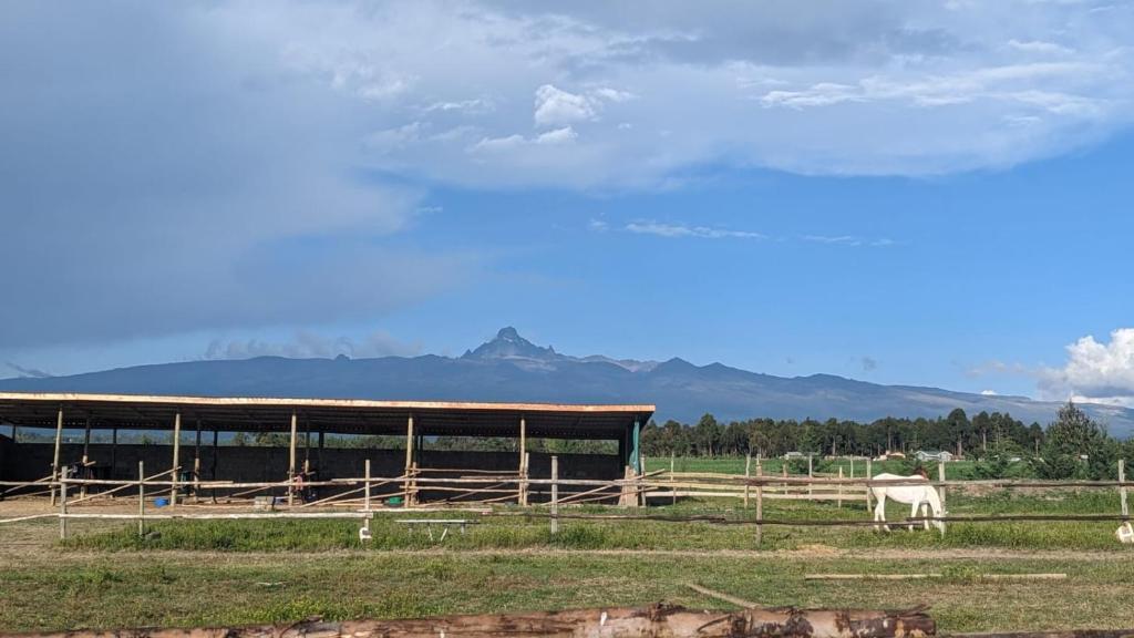The Besotted Cottage at Mount Kenya Farm Stay photo 3