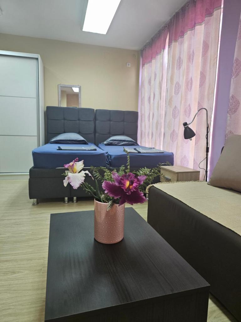 Apartman LENI2 u centru Zajecara photo 1