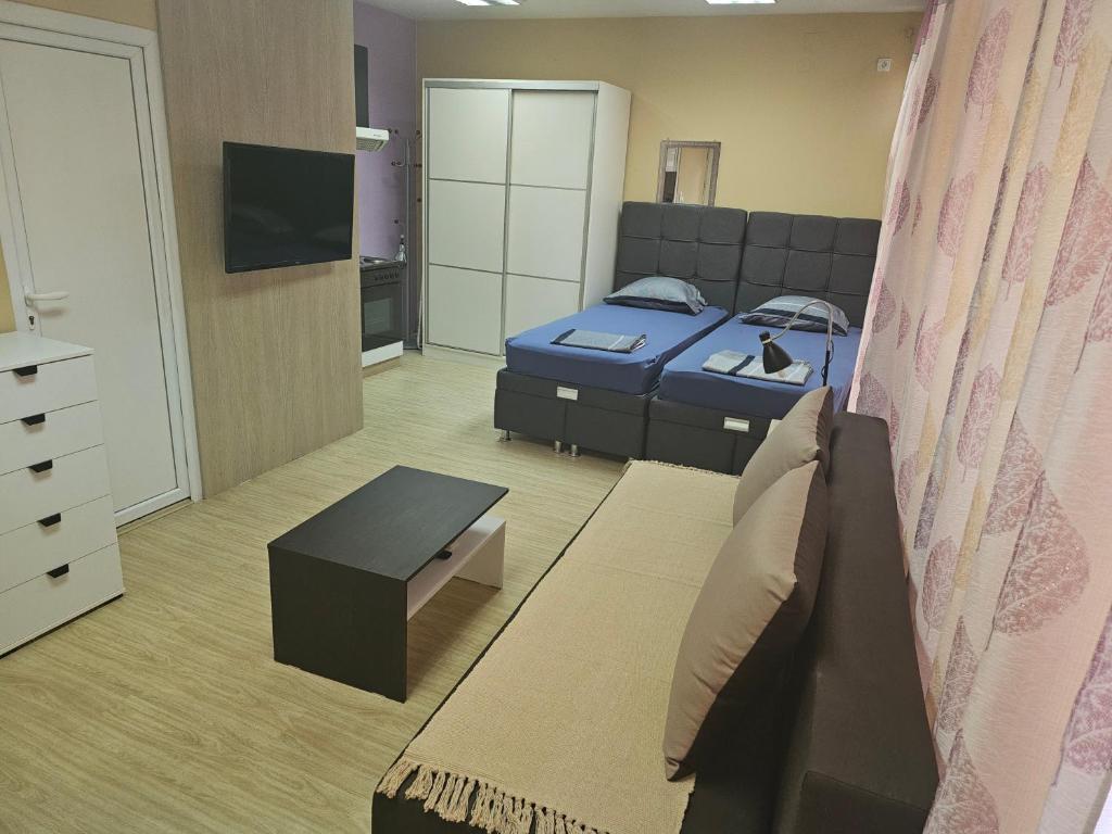 Apartman LENI2 u centru Zajecara photo 3