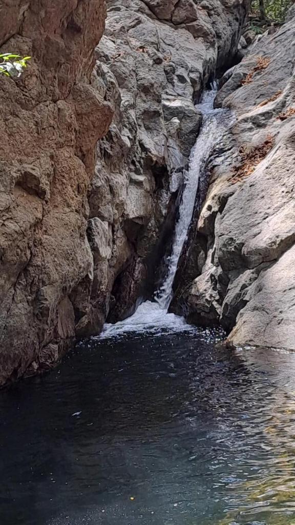 Anez Cabin'S photo 1
