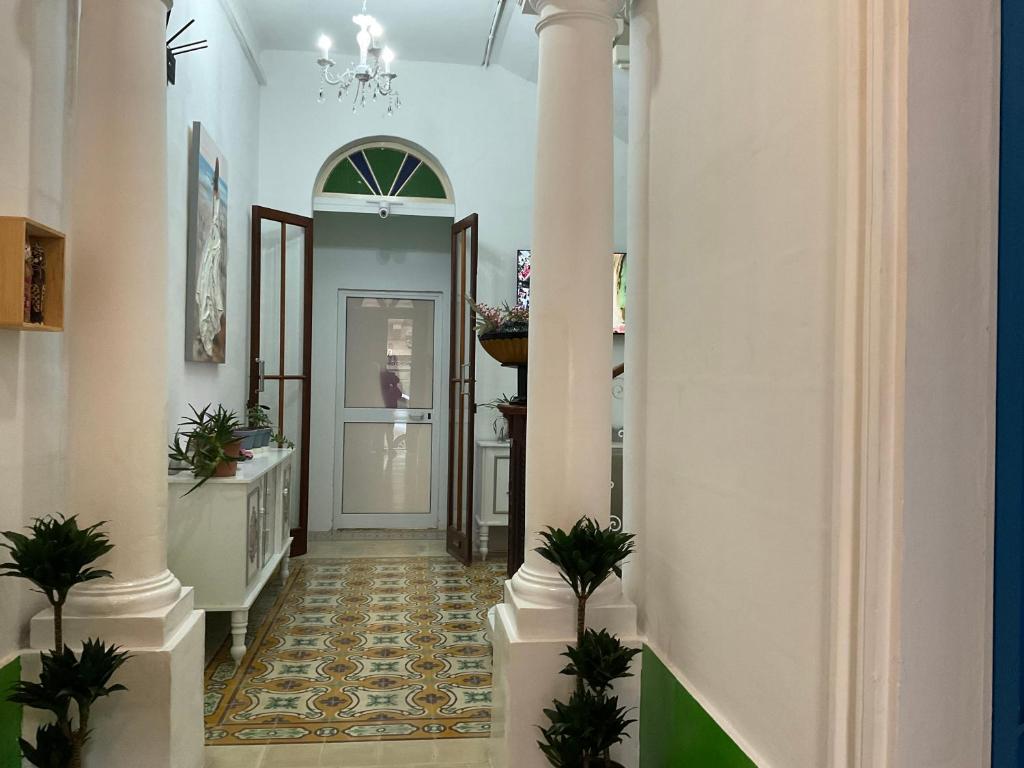 Privilge Gzira photo 4