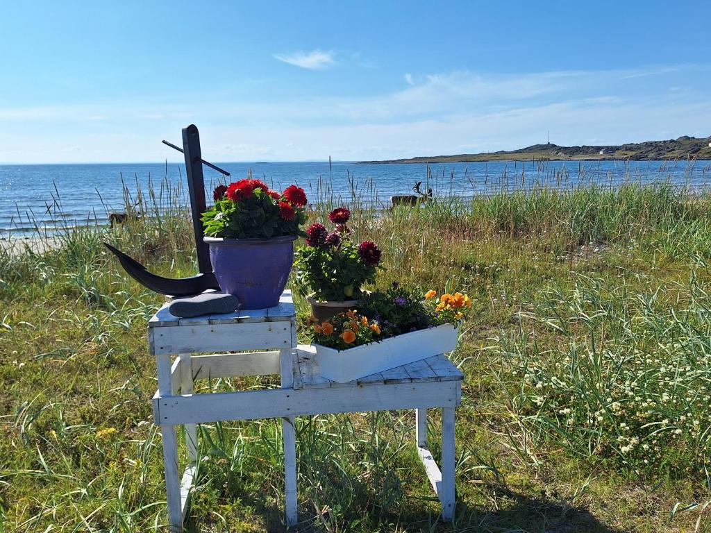Feriehus ved Barentshavet - Holiday home by the Barents Sea