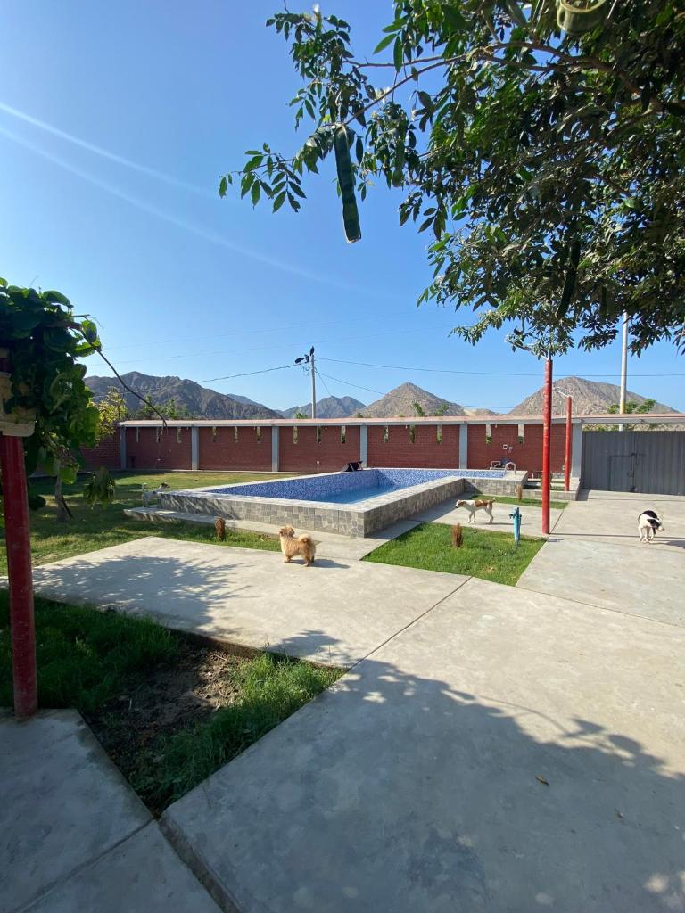 Casa Polska photo 2