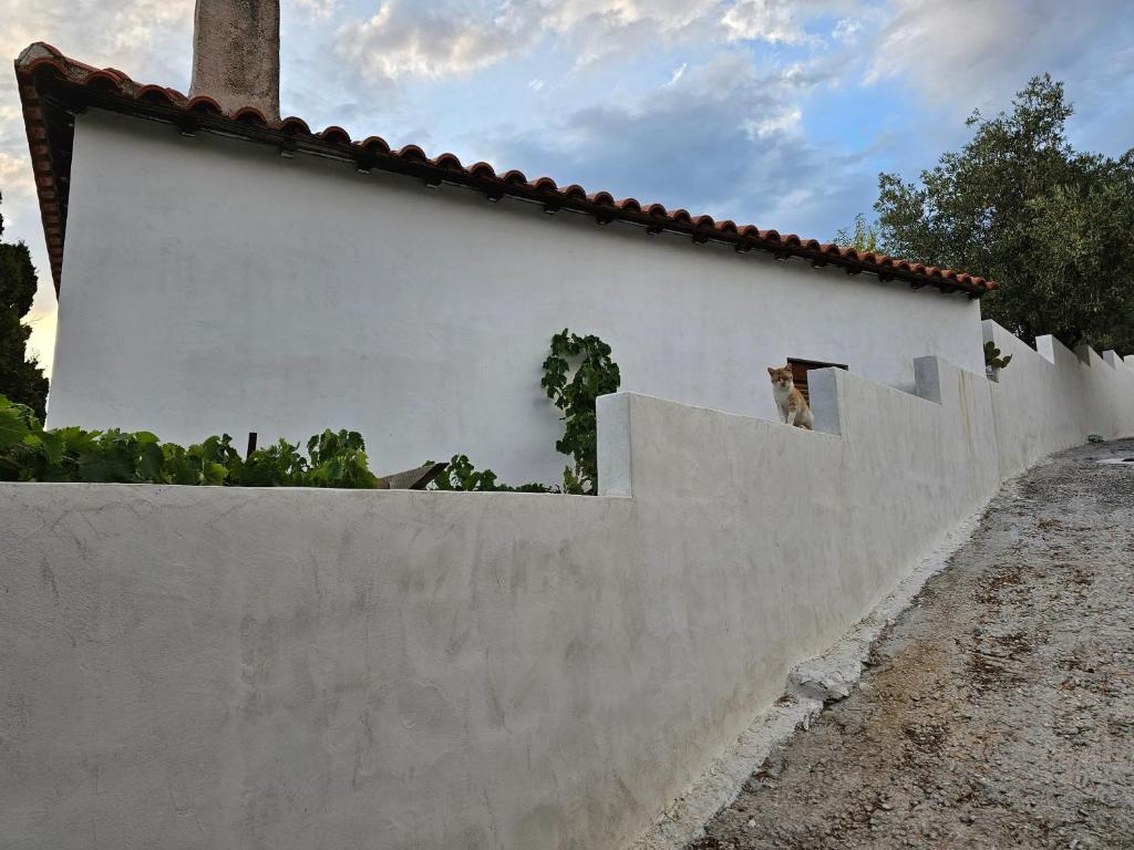 Kosmarana skopelos realty photo 2