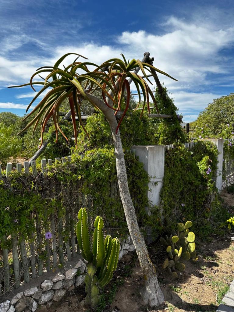 Villiera Guest Farm photo 3