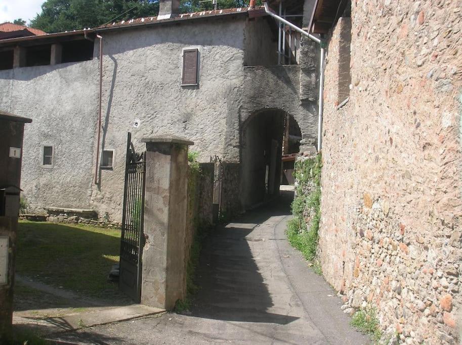 B&B Vegan La Mucca felice - Grazioso appartamento nel verde