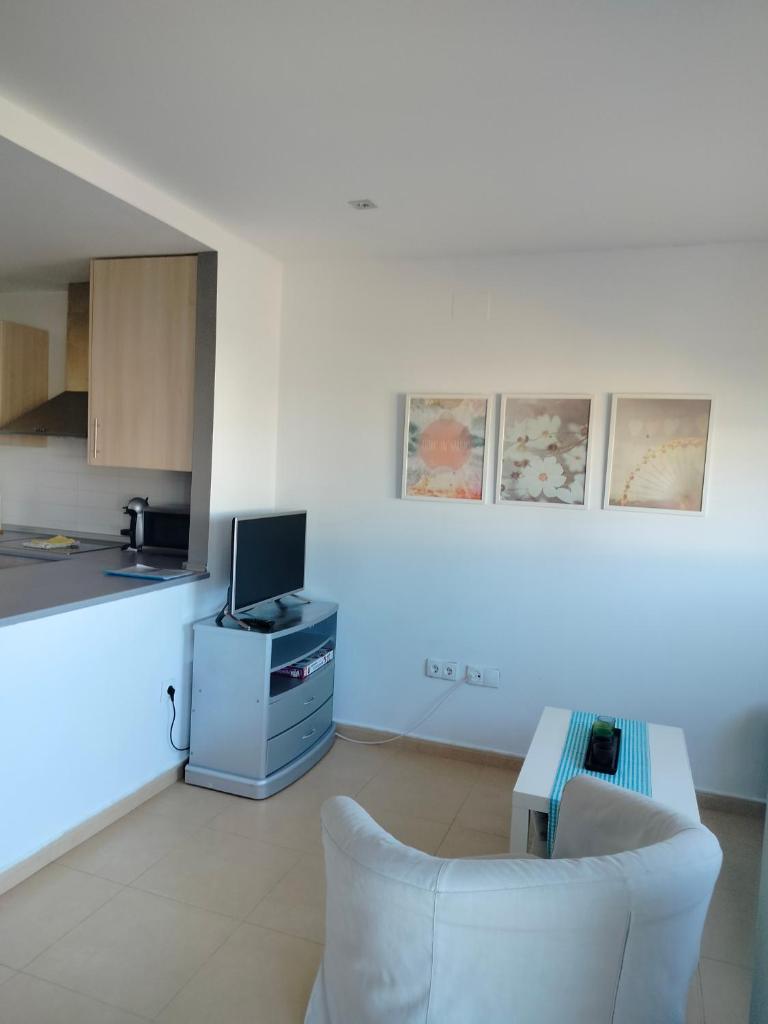 Condado de alhama, naranjos 8 photo 2