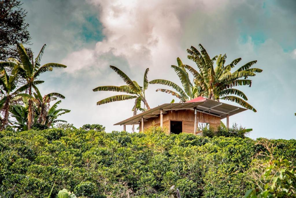 Finca Saabu photo 4