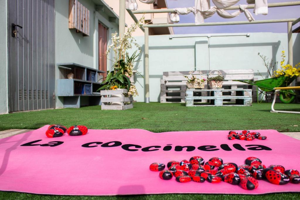la coccinella photo 1