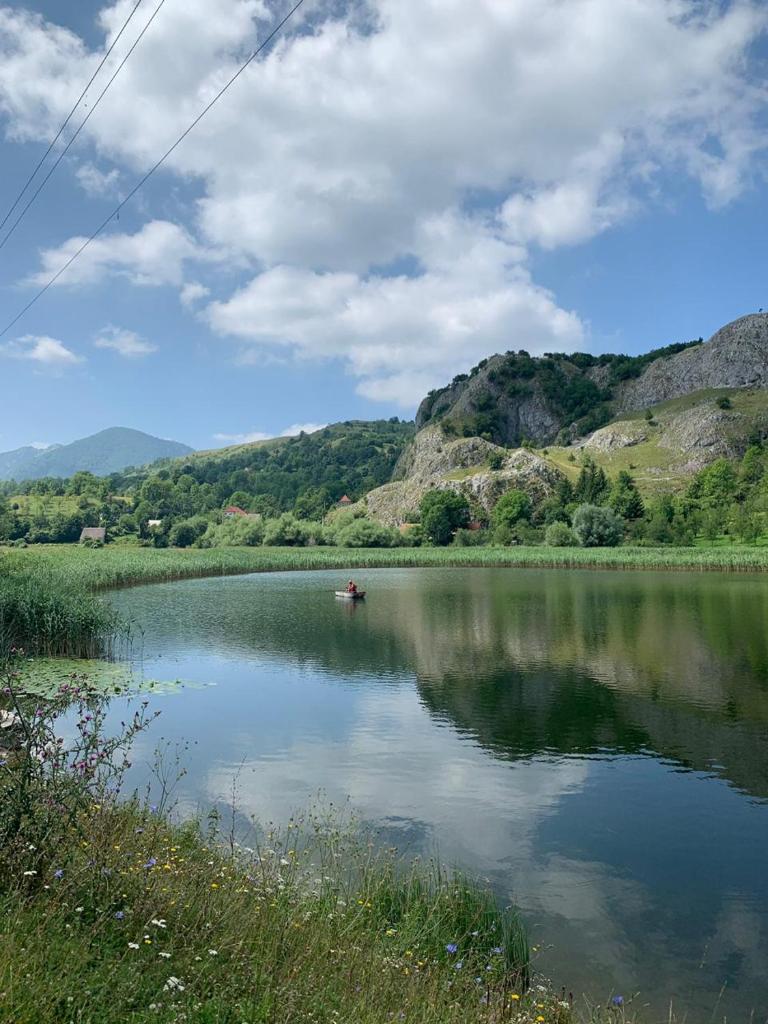 Villas Bašović photo 3
