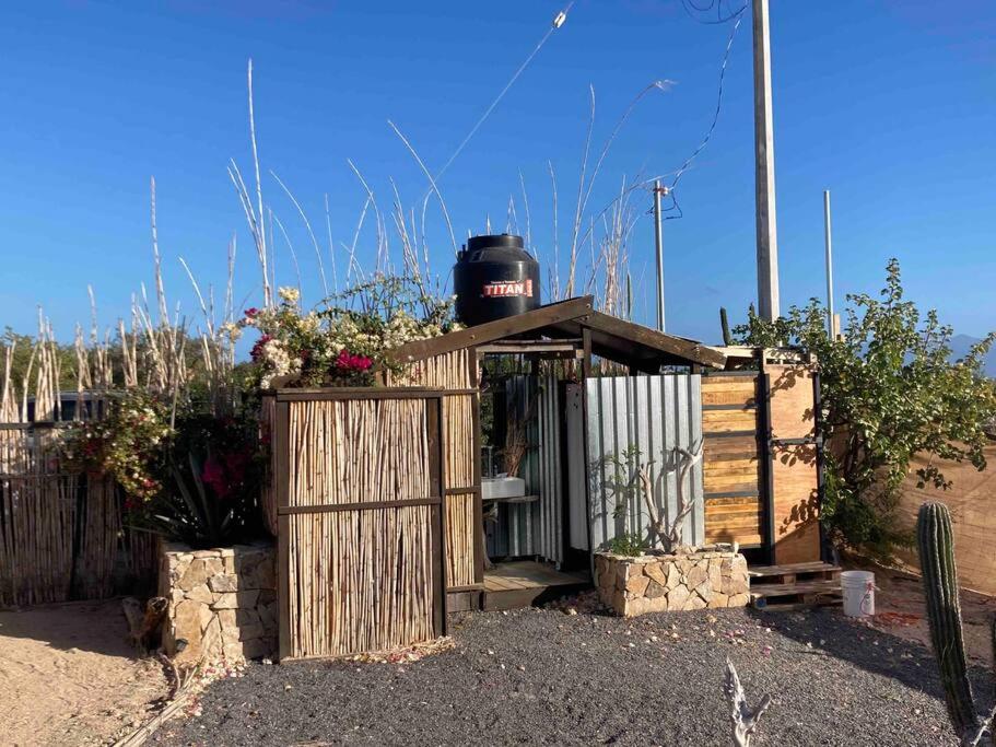 BCS BuenaOnda Sea View Geo-Cabana photo 1