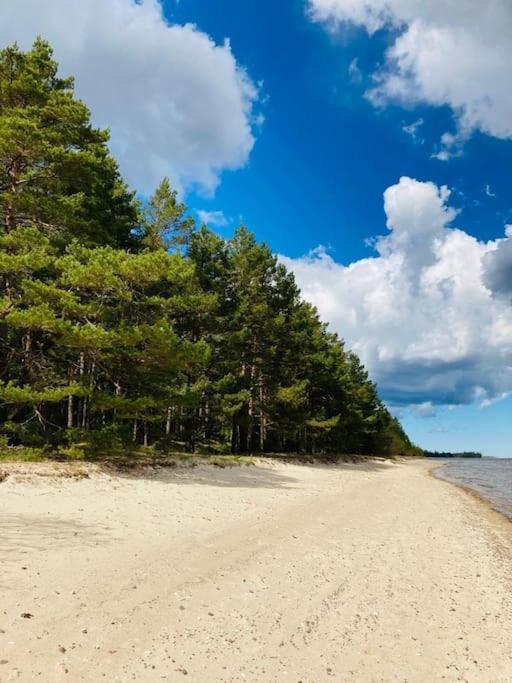 Wild rose: Cozy place in Ķesterciems near the sea photo 4