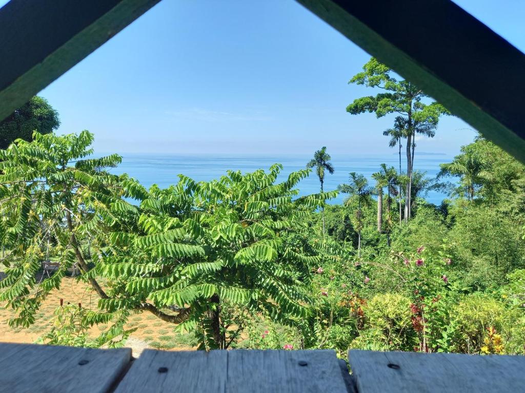 Bella Vista Corcovado photo 4