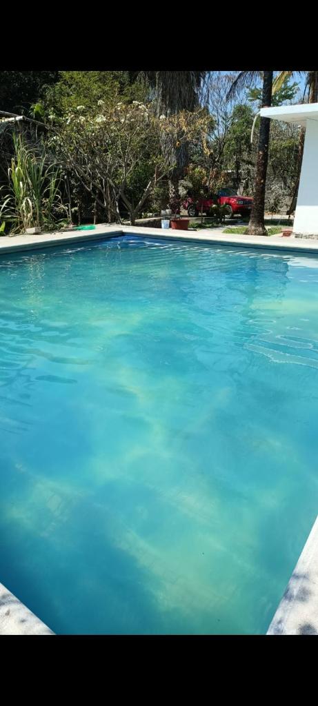 Casa la jungla photo 2
