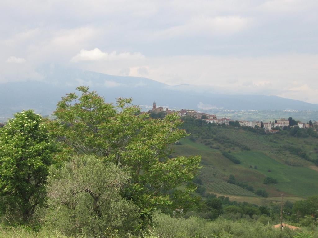 Angelucci Agriturismo con Camere e Agri Camping photo 1