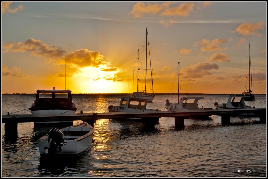 Bonaire 2 Stay Rincon photo 1