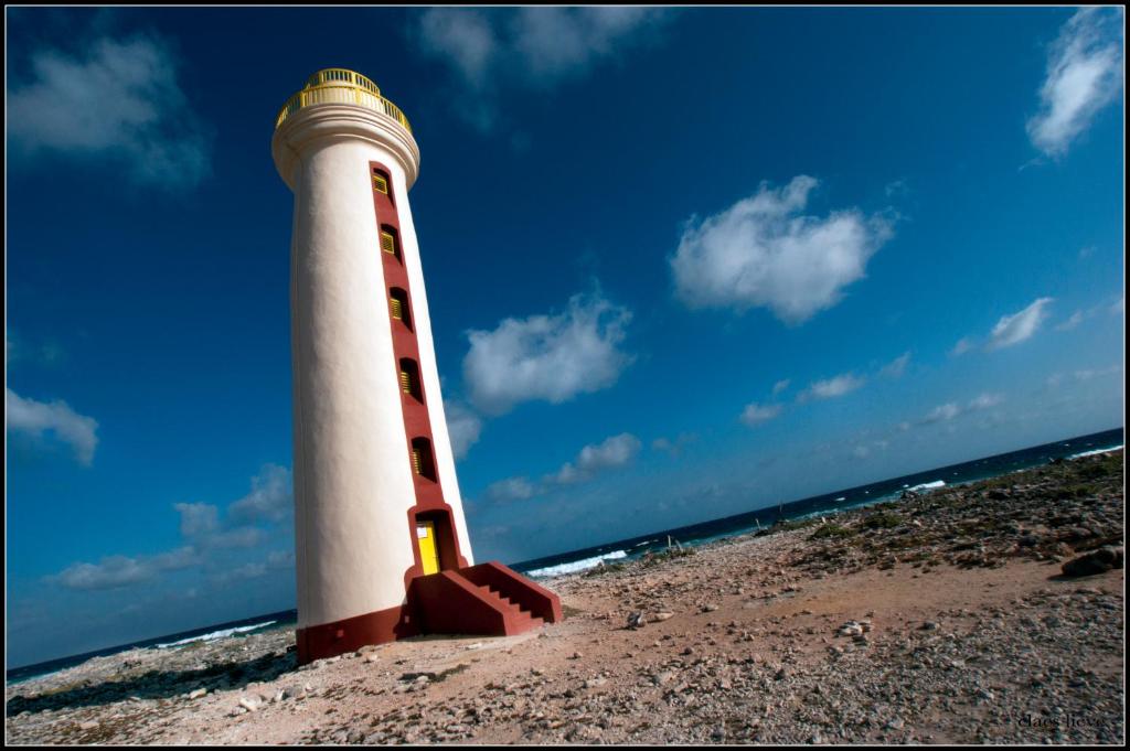 Bonaire 2 Stay Rincon photo 2