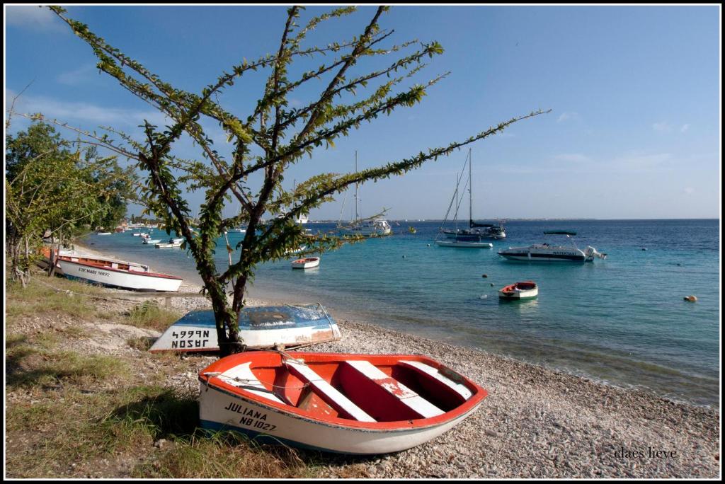 Bonaire 2 Stay Rincon photo 3