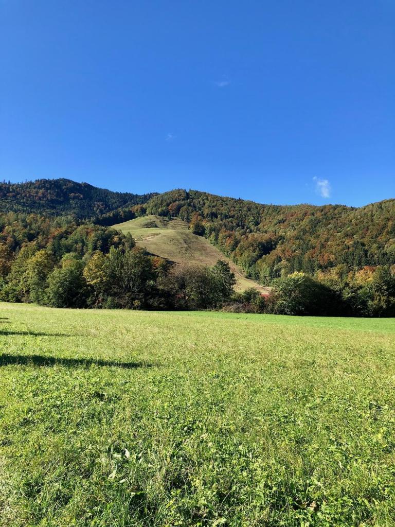 Ferienhaus Balsbergblick photo 4