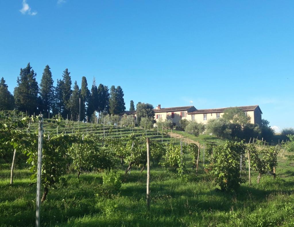 Agriturismo Fattoria le caprine photo 1