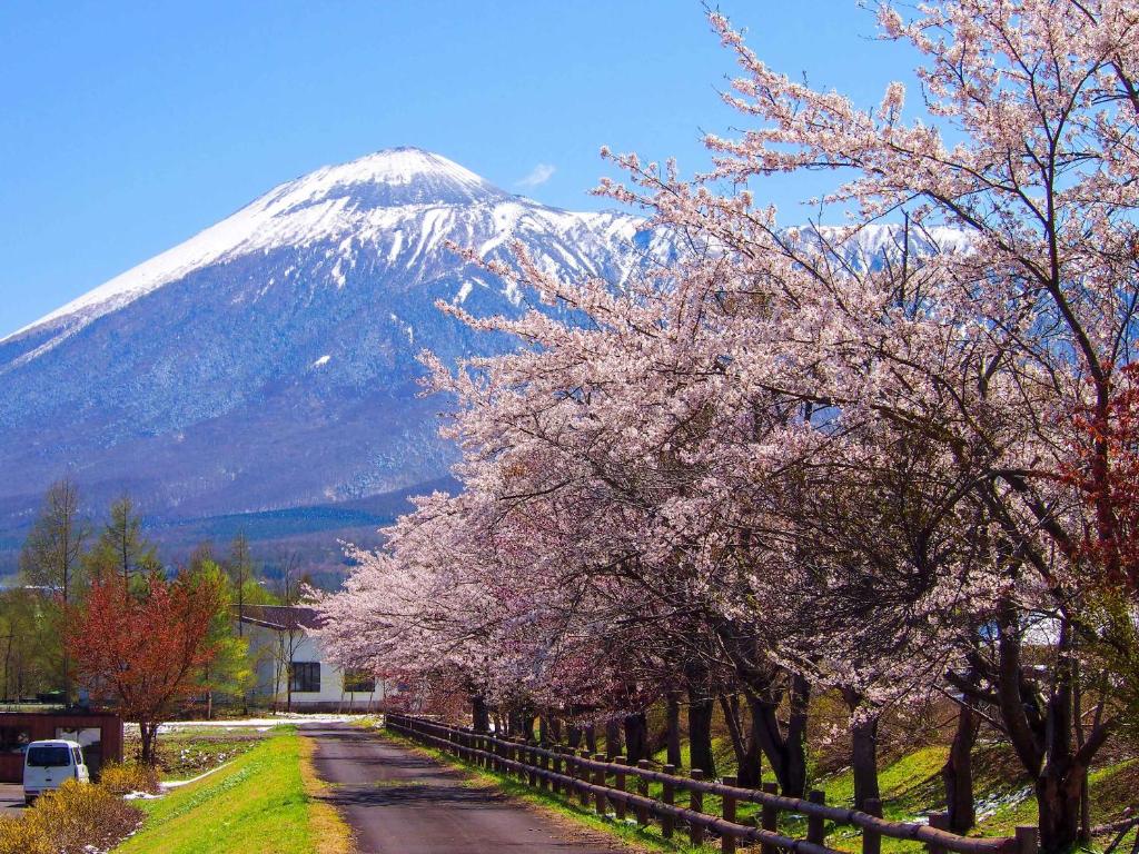 Pension Hinode photo 4