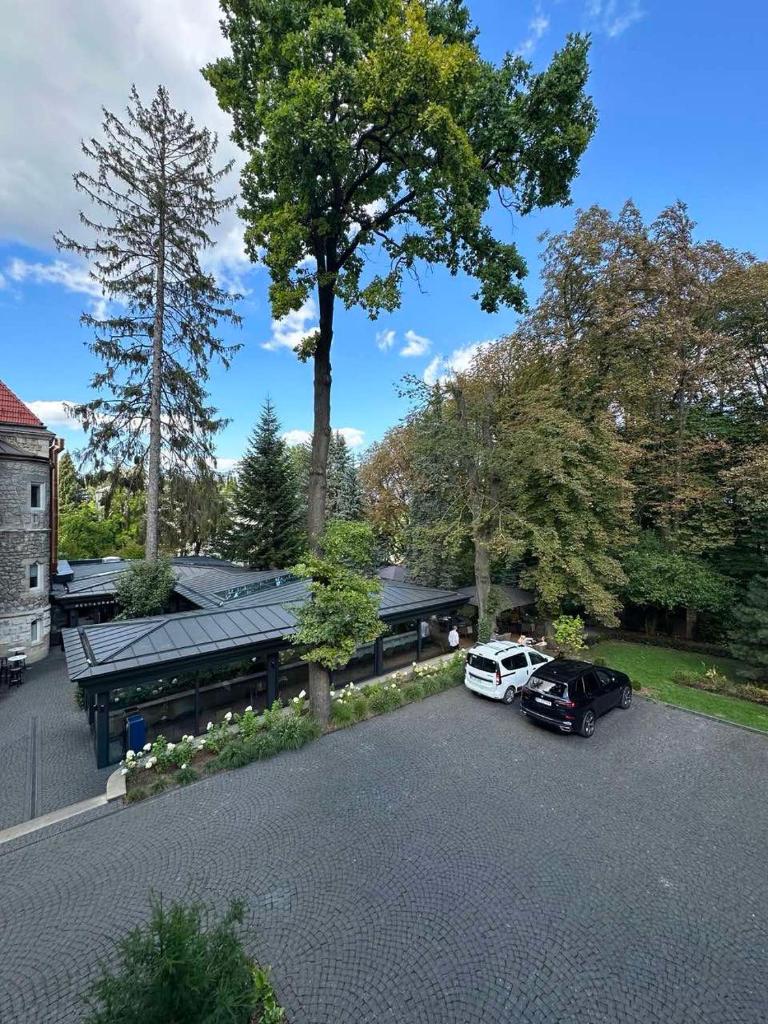 Lion's Castle Hotel photo 4